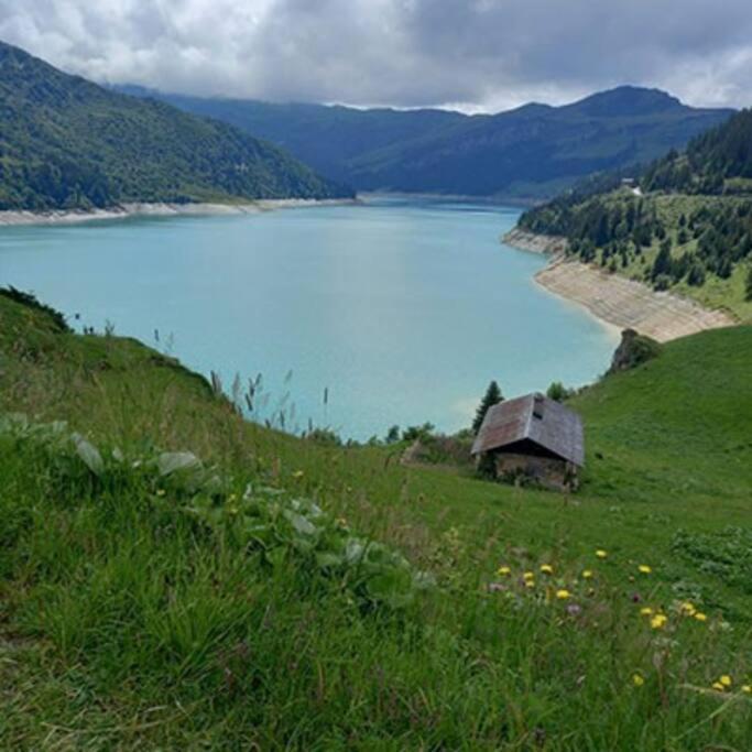 L'Appartement Les Bossons En Lisiere De Foret Dans Le Chalet Genepi Arêches Buitenkant foto