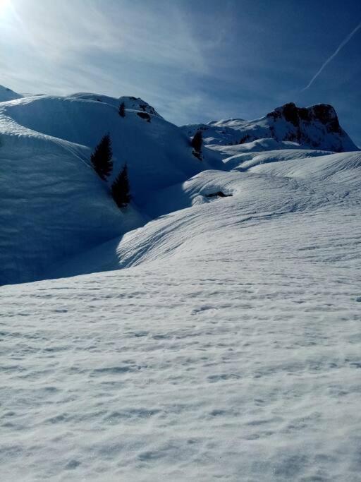 L'Appartement Les Bossons En Lisiere De Foret Dans Le Chalet Genepi Arêches Buitenkant foto