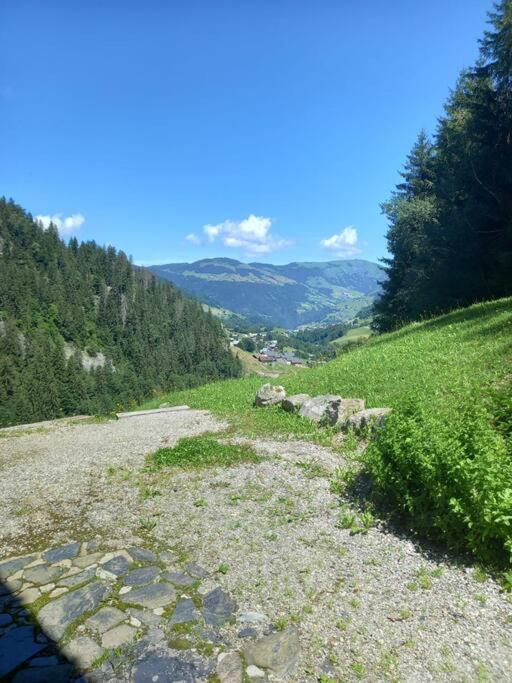 L'Appartement Les Bossons En Lisiere De Foret Dans Le Chalet Genepi Arêches Buitenkant foto